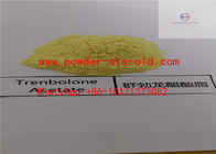 Trenbolone অ্যাসেটেট টেনব্লোন স্টেরয়েডস CAS 862-89-5 C20H24O3